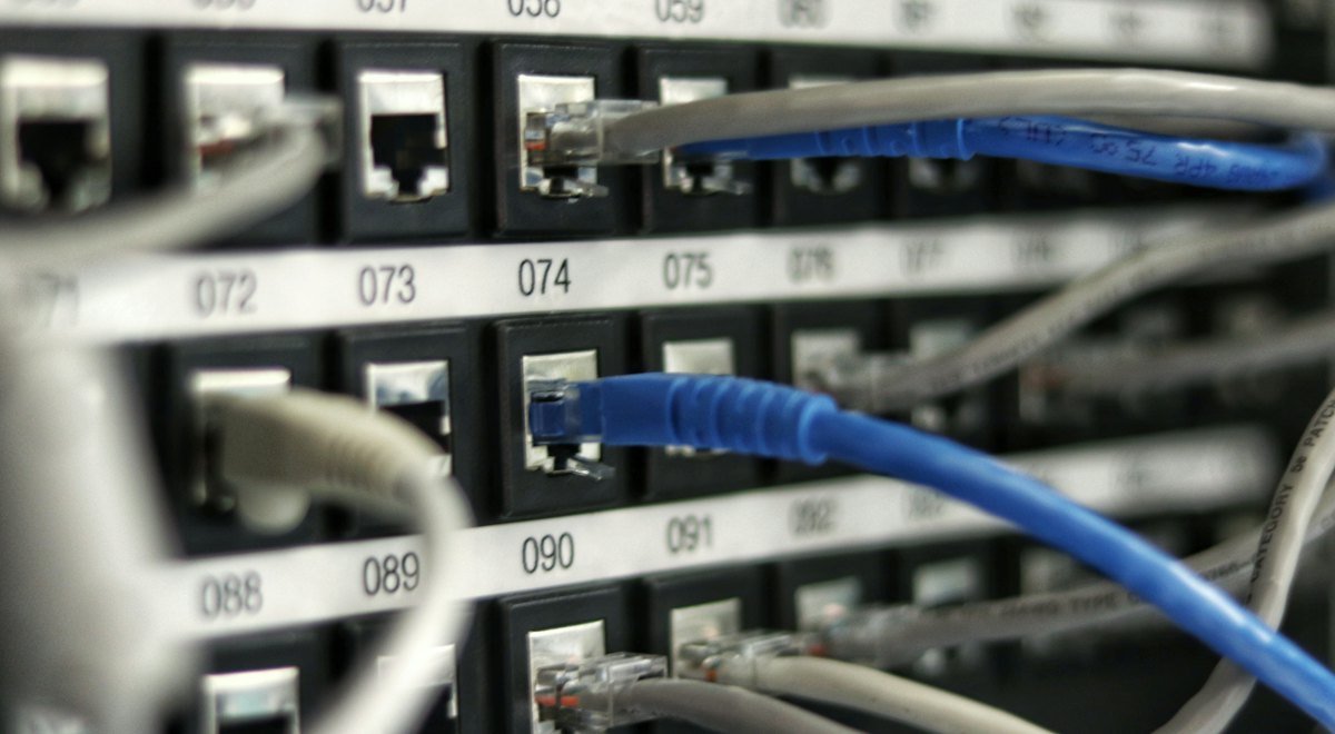 Network patch panel with blue and grey Ethernet cables